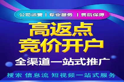 SEM推广代运营公司案例：从困境到突破的逆袭之路
